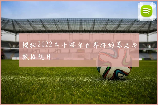 揭秘2022年卡塔尔世界杯的幕后与数据统计